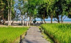 Thara Patong Beach Resort & Spa is located at 170