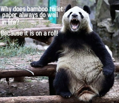 Eco-friendly bamboo toilet paper Phuket