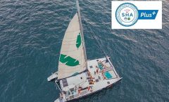 Banana Beach Banana Beach