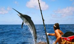 Big Game Fishing Full-Day Tour by Bangtao Beach Bar Big Game Fishing Full-Day Tour by Bangtao Beach Bar
