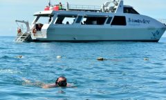 Blu Anda Catamaran to Phi Phi from Phuket by Bangtao Beach Bar Blu Anda Catamaran to Phi Phi from Phuket by Bangtao Beach Bar