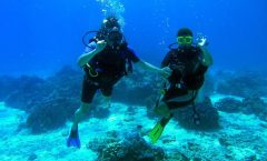 Coral Island Half-day Tour from Phuket City by Bangtao Beach Bar Coral Island Half-day Tour from Phuket City by Bangtao Beach Bar