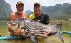 Full-Day Freshwater Lake Resort Fishing in Phang Nga by Bangtao Beach Bar Full-Day Freshwater Lake Resort Fishing in Phang Nga by Bangtao Beach Bar