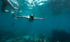 Full-Day Racha Noi and Racha Yai Snorkeling from Phuket by Bangtao Beach Bar Full-Day Racha Noi and Racha Yai Snorkeling from Phuket by Bangtao Beach Bar