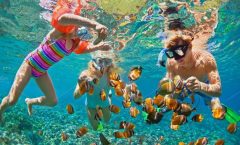 Phi Phi Islands Snorkeling Day Tour by Speedboat with Lunch by Bangtao Beach Bar