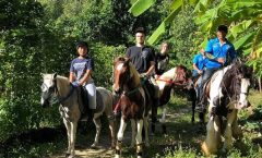 Phuket Horseback Riding 1 hour trail by Bangtao Beach Bar Phuket Horseback Riding 1 hour trail by Bangtao Beach Bar