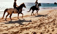 Krabi Horse Riding at Ao Nam Mao Beach by Bangtao Beach Bar Krabi Horse Riding at Ao Nam Mao Beach by Bangtao Beach Bar