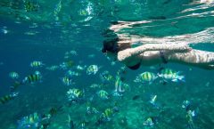 Phi Phi Island Deluxe Package by Tour Hub Asia by Bangtao Beach Bar Phi Phi Island Deluxe Package by Tour Hub Asia by Bangtao Beach Bar