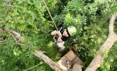 Phuket Hanuman World Combine Zipline Adventure Tickets by Bangtao Beach Bar Phuket Hanuman World Combine Zipline Adventure Tickets by Bangtao Beach Bar