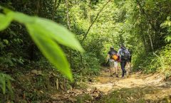 Phuket Khao Phra Taew Jungle Trekking Tour by Bangtao Beach Bar Phuket Khao Phra Taew Jungle Trekking Tour by Bangtao Beach Bar