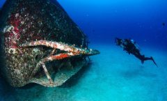 Racha Noi and Racha Yai Dive Trip from Phuket by Bangtao Beach Bar Racha Noi and Racha Yai Dive Trip from Phuket by Bangtao Beach Bar