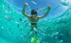 Raya Island Tour by Speed Boat from Phuket by Bangtao Beach Bar Raya Island Tour by Speed Boat from Phuket by Bangtao Beach Bar