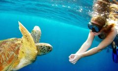 Phuket Tours & Activities