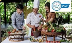 Phuket Small-Group Thai Cooking Class by Bangtao Beach Bar Phuket Small-Group Thai Cooking Class by Bangtao Beach Bar