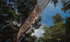 Rites of Passage Eco Adventure: Phuket by Bangtao Beach Bar Rites of Passage Eco Adventure: Phuket by Bangtao Beach Bar