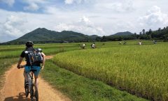 Patong Small-Group Yao Island Cycling Tour by Bangtao Beach Bar Patong Small-Group Yao Island Cycling Tour by Bangtao Beach Bar