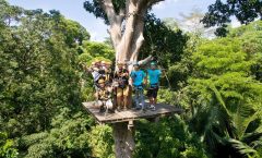 Go Ziplining in the Jungle in Patong Go Ziplining in the Jungle in Patong
