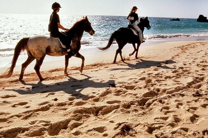 Krabi Horse Riding at Ao Nam Mao Beach by Bangtao Beach Bar Krabi Horse Riding at Ao Nam Mao Beach - Horseback Riding