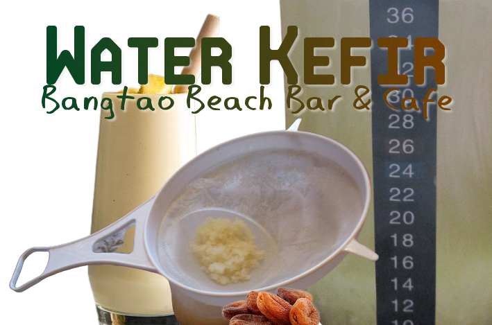 Water Kefir on Phuket, Thailand