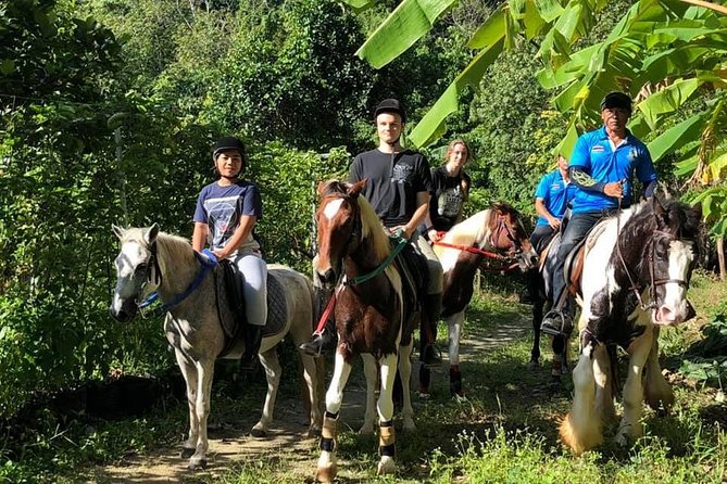 Phuket Horseback Riding 1 hour trail by Bangtao Beach Bar Phuket Horseback Riding 1 hour trail - Horseback Riding