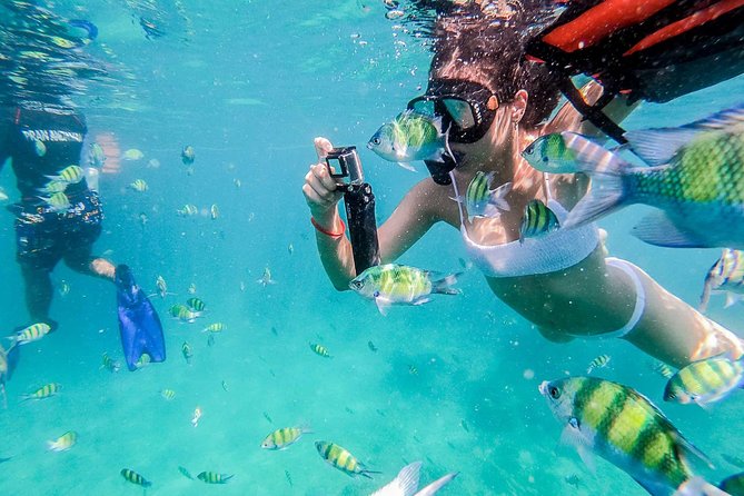 Maya Bay, Phi Phi Don Island, and Khai Island Boat Tour by Bangtao Beach Bar Maya Bay, Phi Phi Don Island, and Khai Island Boat Tour - Phi Phi Islands