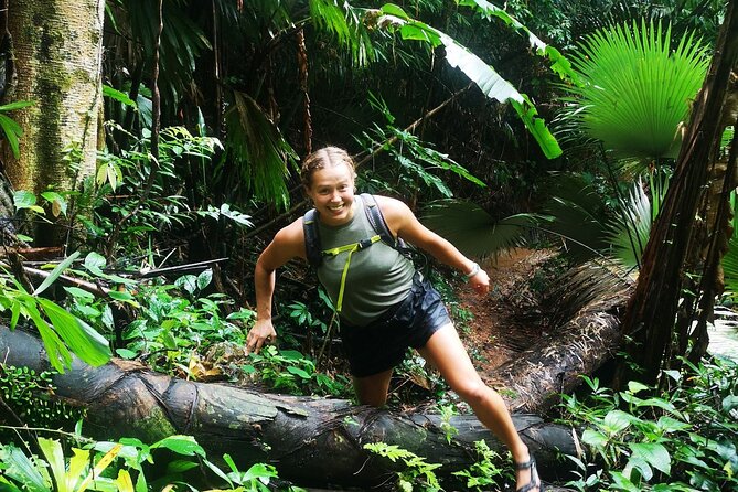 Small-Group Jungle Hiking Excursion in Khao Phra Teaw Park by Bangtao Beach Bar Small-Group Jungle Hiking Excursion in Khao Phra Teaw Park - Hiking Tours