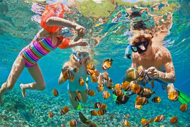 Phi Phi Islands Snorkeling Day Tour by Speedboat with Lunch - Phi Phi Islands
