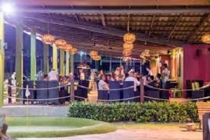 Bangtao Thai organic green tea and herbal blends Phuket
