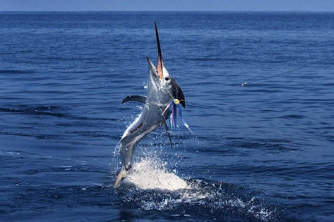 Racha Island Fishing Tour from Phuket by Bangtao Beach Bar Racha Island Fishing Tour from Phuket - Fishing Charters