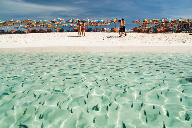 Khai Island Half Day Tour by Speedboat from Phuket by Bangtao Beach Bar Khai Island Half Day Tour by Speedboat from Phuket - Half-day Tours