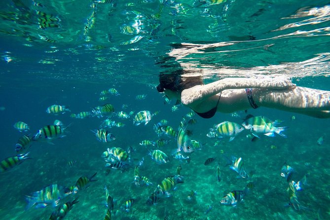 Phi Phi Island Deluxe Package by Tour Hub Asia by Bangtao Beach Bar Phi Phi Island Deluxe Package by Tour Hub Asia - Honeymoon Packages