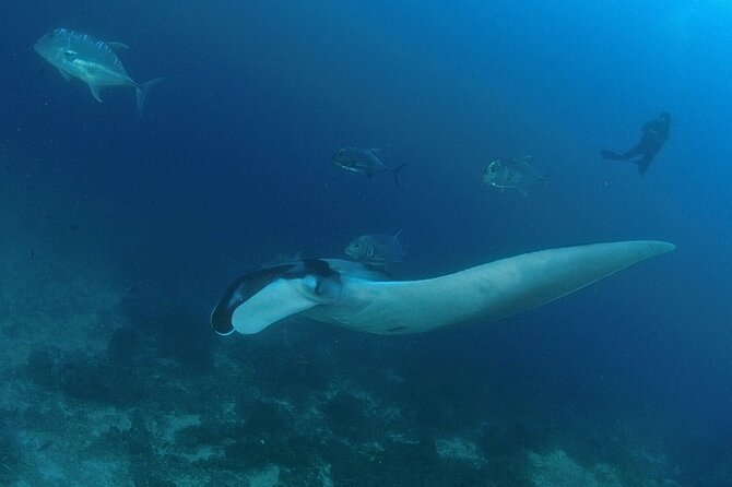 SCUBA Diving tour Racha and Coral islands full day tour by Bangtao Beach Bar SCUBA Diving tour Racha and Coral islands full day tour - Scuba Diving