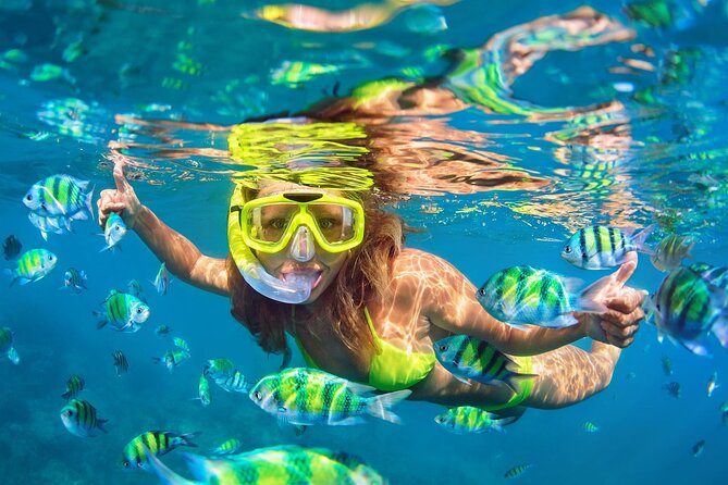 Phi Phi Snorkeling/Adventure Deluxe Day Trip, Gold Package, Limited Guests by Bangtao Beach Bar Phi Phi Snorkeling/Adventure Deluxe Day Trip, Gold Package, Limited Guests - Phi Phi Islands