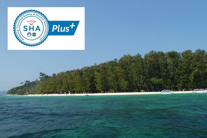 Phi Phi Islands and Bamboo Island by Speedboat by Bangtao Beach Bar Phi Phi Islands and Bamboo Island by Speedboat - Jet Boat Rentals
