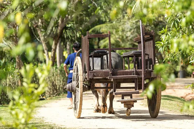 Full-Day Phuket Local Life Culture Tour with Pickup and Lunch by Bangtao Beach Bar Full-Day Phuket Local Life Culture Tour with Pickup and Lunch by Bangtao Beach Bar