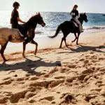 Krabi Horse Riding at Ao Nam Mao Beach by Bangtao Beach Bar
