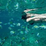 Phi Phi Island Deluxe Package by Tour Hub Asia by Bangtao Beach Bar