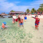 Phi Phi Island from Phuket by Speedboat with World Famous Maya Bay by Bangtao Beach Bar