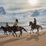 Phuket Horse Riding Club by Bangtao Beach Bar