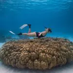 Raya Island / Mai Ton Island Private Boat Tour by Bangtao Beach Bar