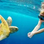 Phuket Tours & Activities