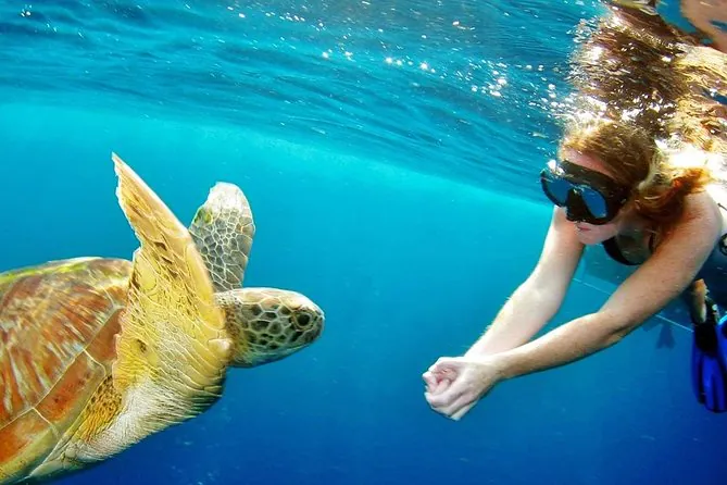 Phuket Tours & Activities Phuket Tours & Activities