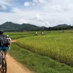 Patong Small-Group Yao Island Cycling Tour by Bangtao Beach Bar