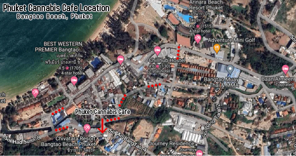 Phuket Cannabis & Weed Cafe Bangtao Beach.