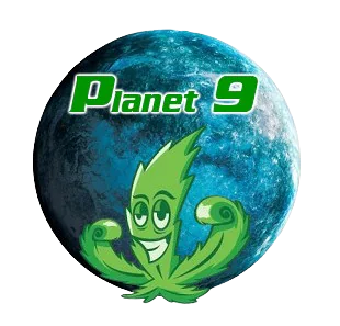 Cannabis shops and cafes around Bangtao, Chergtalay and Surin beach in Phuket